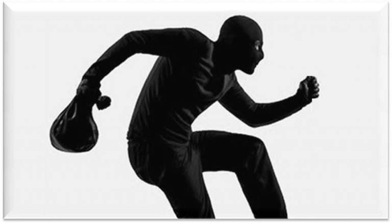 जग्गा बैना गर्न बोलाएर नौ लाख लुटियो