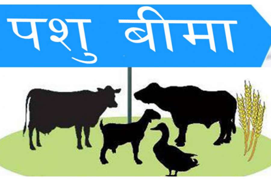कृषि तथा पशुपन्छी बीमामा सरकारले वितरण गर्‍यो डेढ अर्ब बढी अनुदान