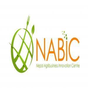 NABIC appointed its new Chairperson