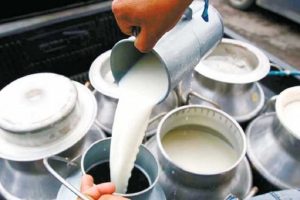 दुग्ध उत्पादकले पाएनन् ६ महिनादेखिको पैसा, ५५ करोड लिन बाँकी