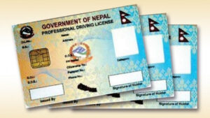 के हुँदैछ घरमै लाइसेन्स पुर्‍याउने योजना कार्यान्वयनको प्रकृया ?