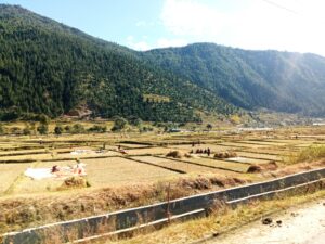 जुम्लामा वैशाख २ गतेदेखि आर्थिक गणना
