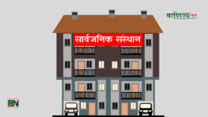 सार्वजनिक संस्थानमा ४७ अर्ब लगानीको हिसाब गडबड