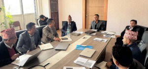 किमाथाङ्का अरुण जलविद्युत आयोजनाको लगानी ढाँचा तयार