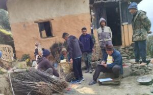 भोजपुरमा पनि अव ब्यावसायिक स्याउ खेती, रोपिए एक हजार ८०० बिरुवा