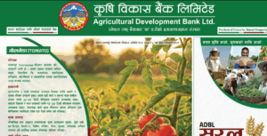 तरकारी खेती प्रवर्द्धन गर्न कृषि विकास बैंकको नयाँ भित्ते पात्रो