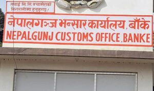 २५ करोड मूल्य पर्ने सल्लाको आँख्ला निकासी नहुँदा समस्या