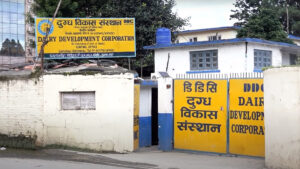 डीडीसी सुधारका लागि मन्त्रालयको ९ बुँदे निर्देशन, के के छन् निर्देशन ?