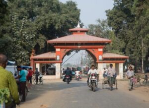 जमुनाहा नाकामा तालिम प्राप्त कुकुरहरू परिचालन
