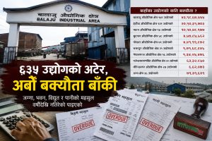 नाम चलेकै कम्पनीको धेरै बक्यौता : ६३५ उद्योगको अटेर, सरकारले चाल्ला कडा कदम ?
