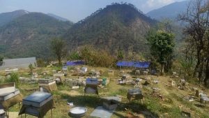 अविरल वर्षाले चरन क्षेत्रका मौरीघार नै बगायो, ६० लाखको क्षति
