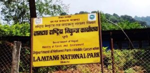 लाङटाङ राष्ट्रिय निकुञ्जमा पर्यटक आगमन र राजस्व दुवैमा गिरावट